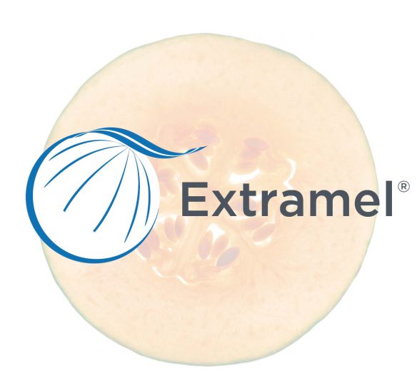 Logo photo - Extramel®