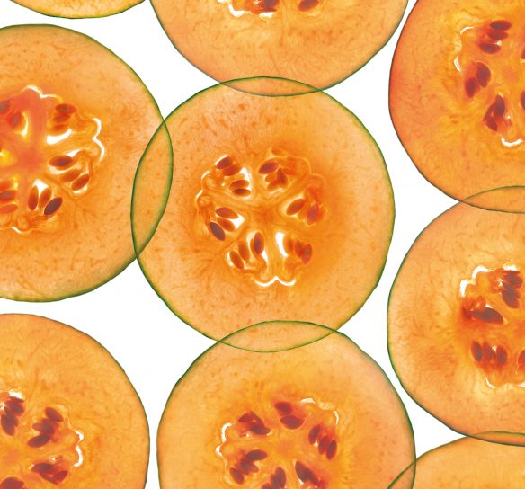 Tranches de melon oranges se chevauchant - Extramel